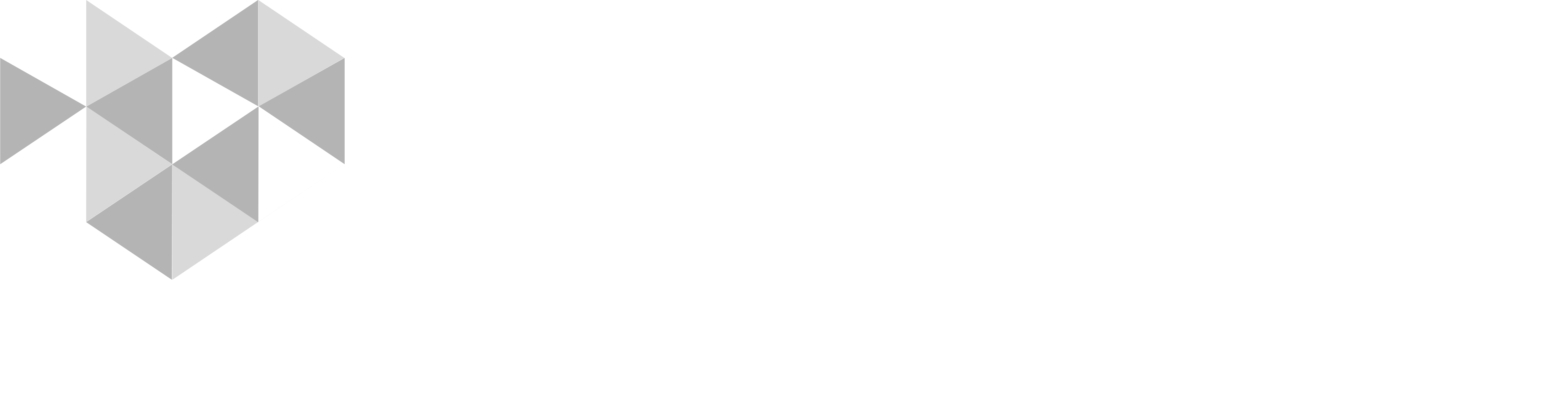 company~s logo